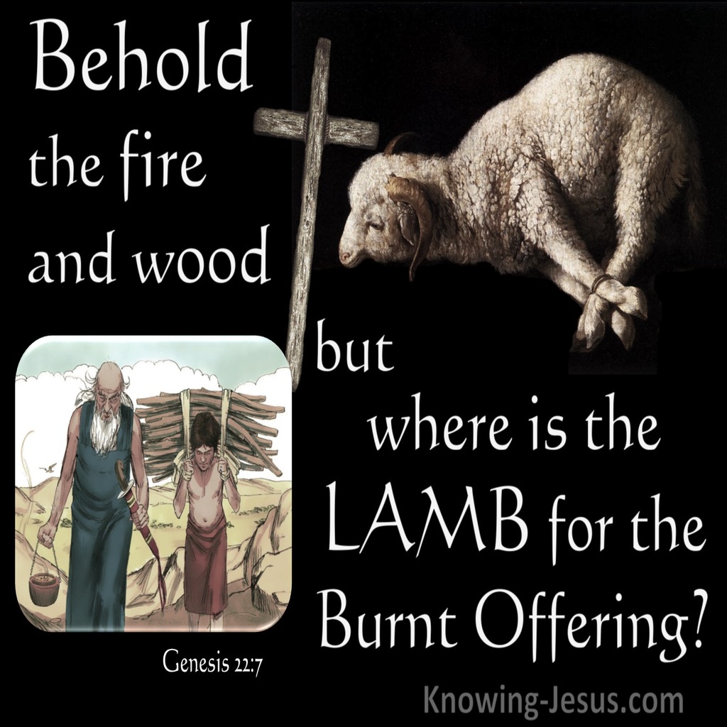 Genesis 22:7 Where Is The Lamb For A Burnt Offering (white)